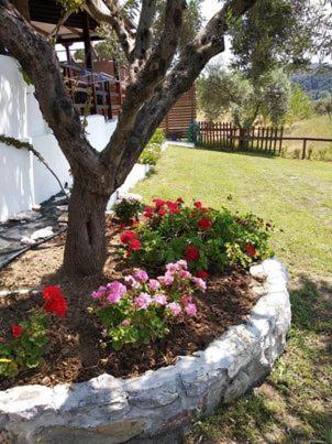 Ases Villa Lagonisi Halkidiki Órmosz Panajász Kültér fotó